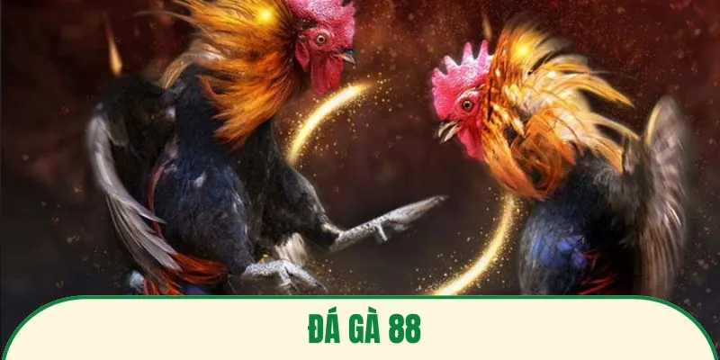ảnh đại diện đá gà 88